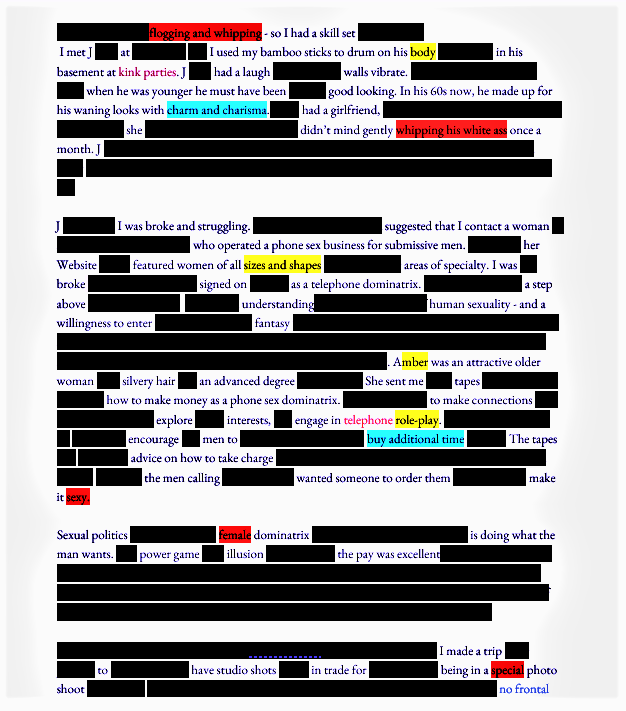 Anonymous Sentence Examples A Brief Career, Redacted and Erased – Anonymous & Anonymous – IceFloe Press