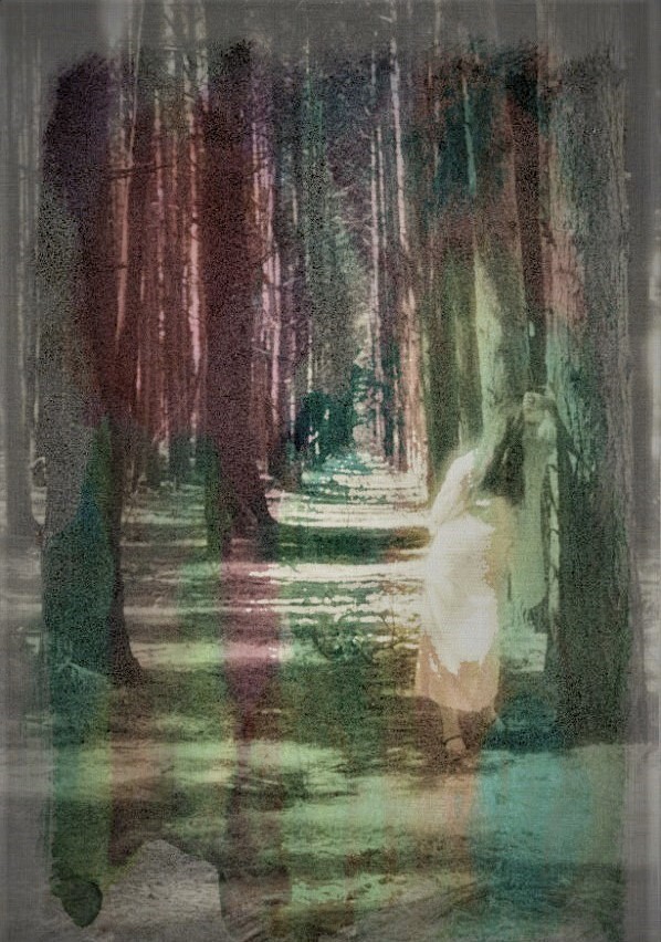 Small 1st version of image dream like of woman standing with back to the viewer mid-distance staring into the forest trail evergreen trees colored black and white image with greens and browns using digital layers.