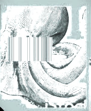octopus postage stamps -- a diptych - 
collage of details from an etching of a fragment of an octopus left side pale blue on a powder blue background; in the left middle a 'constructed ISBN glitch". On the right same image however it is in grey, black and white colouration. 