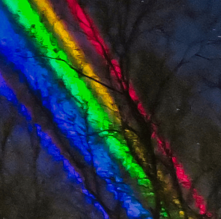 a stark landscape in close up: a blackened winter tree in front of a rainbow sky: blue lime green, yellow and red curving diagonals, turning to purple-grape at the top right side.