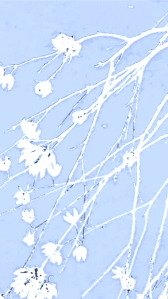 Elaboration #4 Powder blue background w/white spindly branches and white flowers. Vertical placed rectangular small size visual poem.