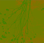 Elaboration #2 Green-yellow w/spindly branches and flowers. Small geometric cube rectangular small size visual poem.