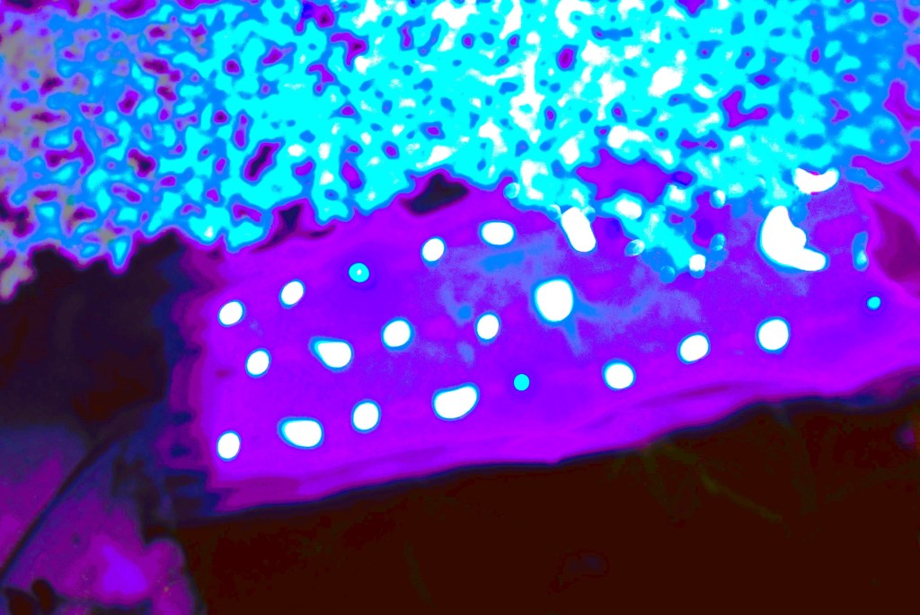 New Outlaw Vision 2 by Robert Frede Kenter, A Vispo (2024). shades of turquoise, blue, purple, crimson-brown with white dots and sparks, morphic shapes in a horizontal free flowing trio of  linear and floating relationships
