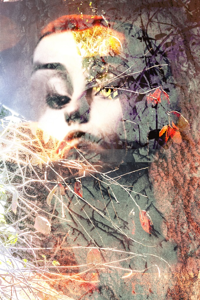 Collage Work:  Tree Woman by Anindita Sengupta. Trees, a young woman's face, distorted, trees, grasses, reflections of branches and leaves against a concrete wall, a sense of metamorphosis.