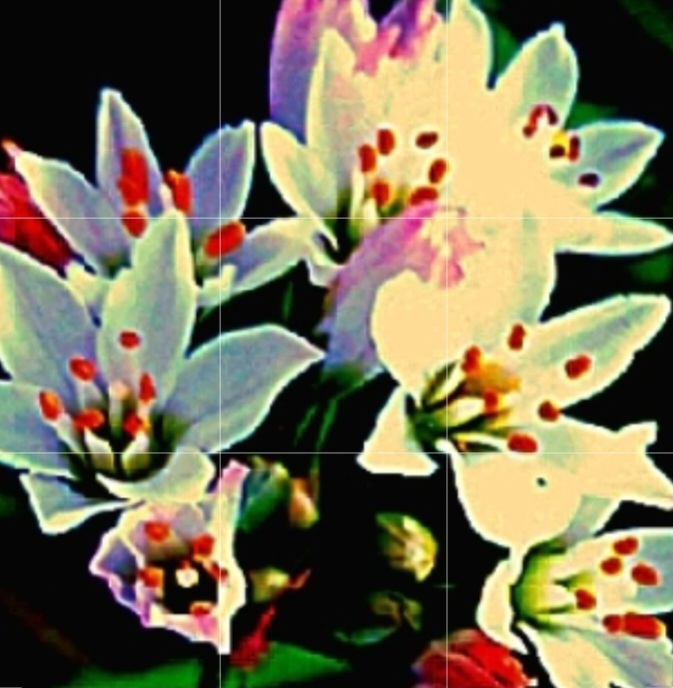 A vispo of flower arrangement Bold and abstracted shapes and colours incl. yellow, greens, and dark black with red pistons. By Moira J. Saucer 