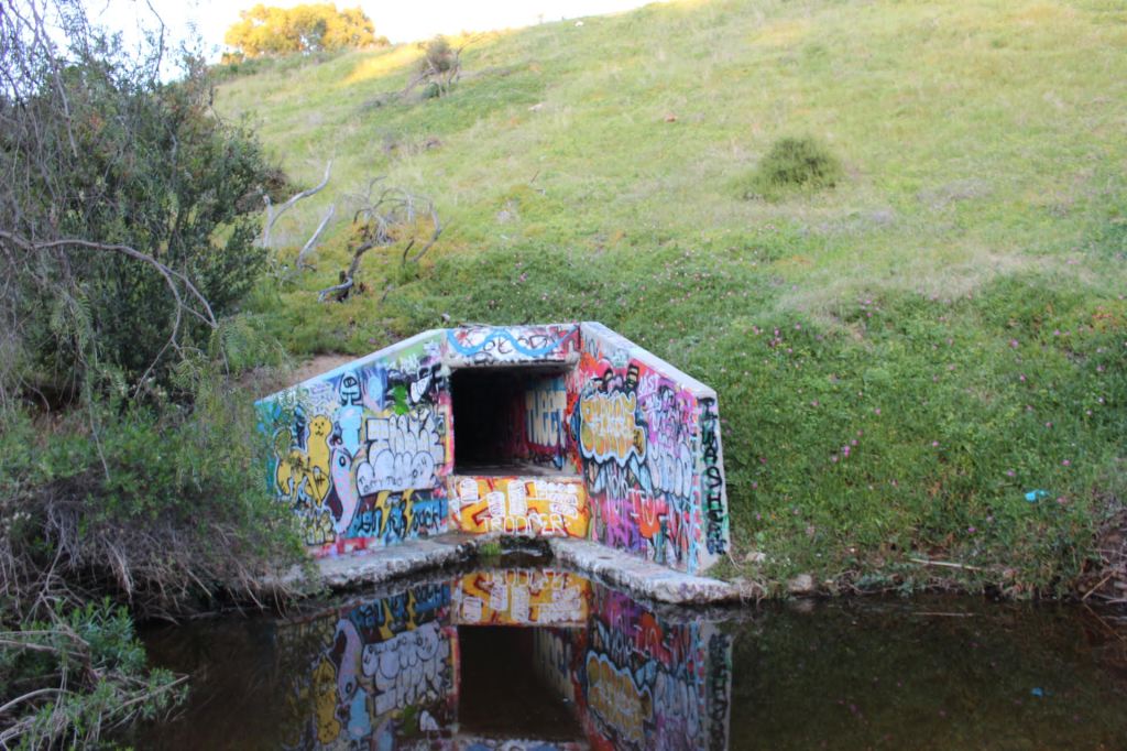 A sloping field, green grass leading down to the graffitied "Tunnel of Dune" and still black-grey waters in front w/ reflections of the tunnel in the water and bushes on the left side.  An image by Chantal B.