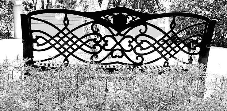 Vintage, a black and white photo image by Vikki C. of a metal bench/fence with growing bushes in front and a tree and behind that a garden platform and more trees.