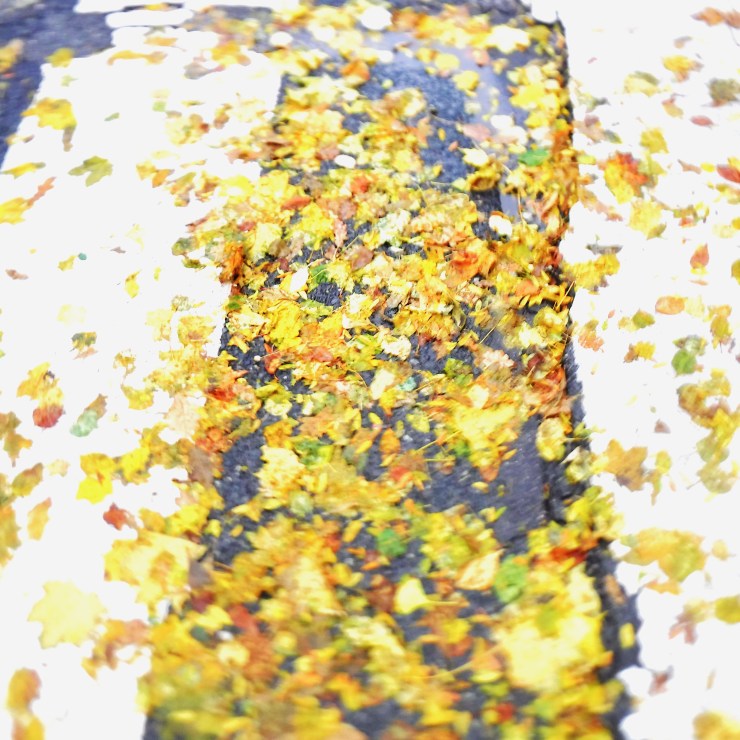 Running down a path of autumn leaves, the runner looks down. White background, black trail, yellow leaves with a hint of red and green. Title: "Swirling" (c) 2025 Robert Frede Kenter 
