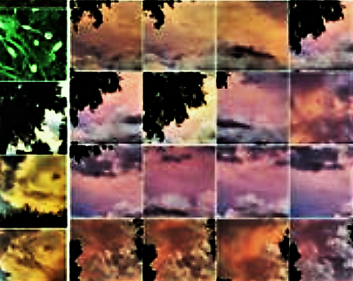 Sky Collage.   Clouds, sunrises, sunsets, trees, storm formation. A photo collage by Robert Frede Kenter (c) 2025. Title "What a Runner Sees."