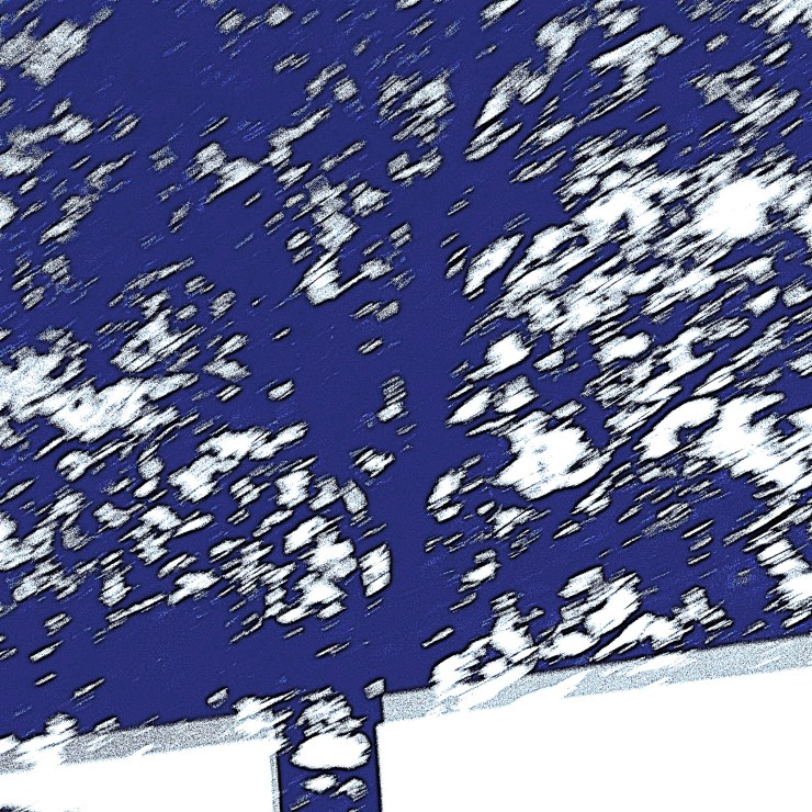 A blurred art work of trees in motion (c) 2025 Robert Frede Kenter