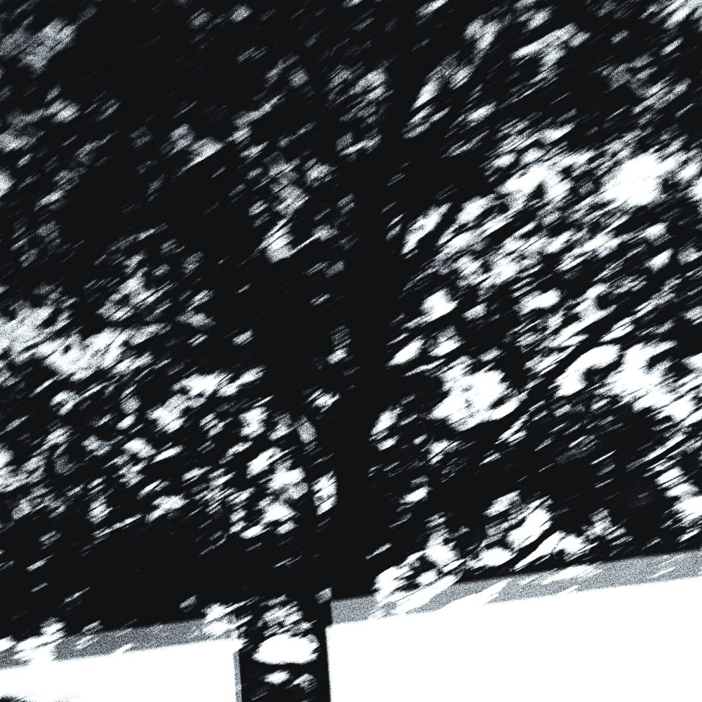 Trees in Motion (Monochrome Black & Gray) (c) Robert Frede Kenter 