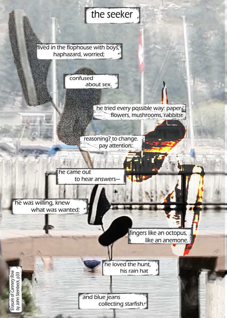 erasure poem by kerry rawlinson excerpt