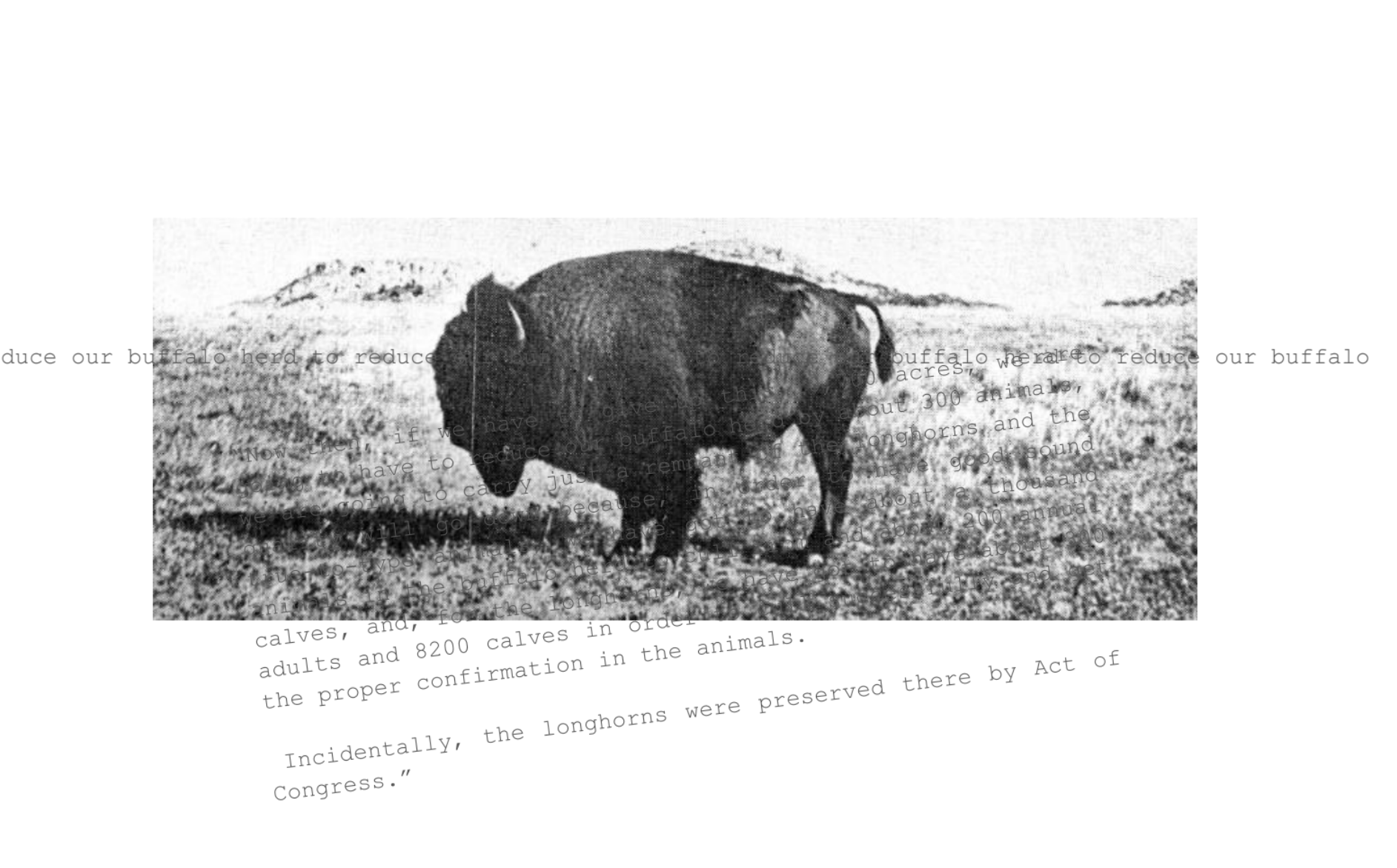 Excerpt from suite by Seth Copeland. The image (black and white) of a buffalo on the range overlaid with black and white text.