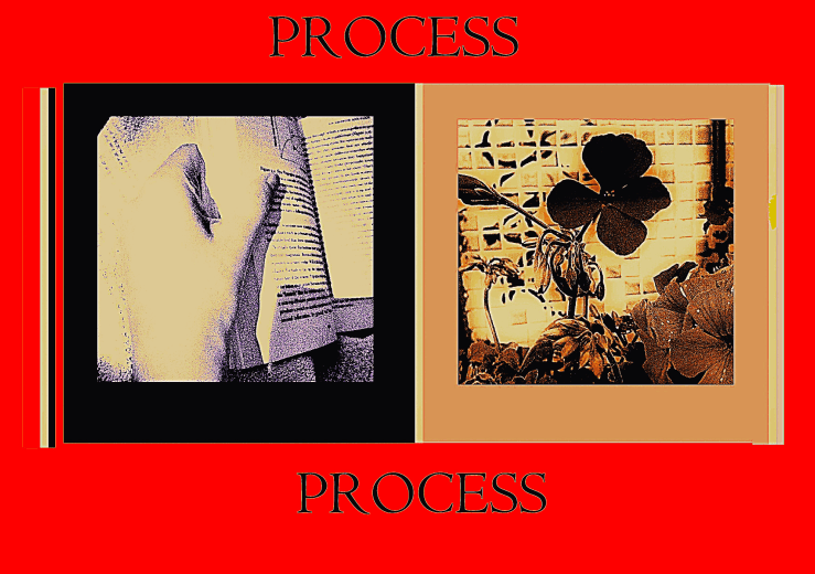 Collage for Process / Marginalia/ Otherworlds by Robert Frede Kenter. an open book / a hand/ a wall / a flower in juxtapositional window frames with the word PROCESS in all caps repeated twice.