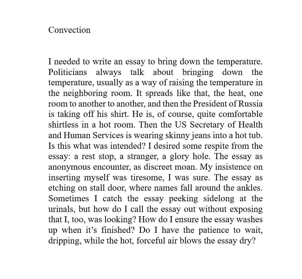 Convection
I needed to write an essay to bring down the temperature. Politicians always talk about bringing down the temperature, usually as a way of raising the temperature in the neighboring room. It spreads like that, the heat, one room to another to another, and then the President of Russia is taking off his shirt. He is, of course, quite comfortable shirtless in a hot room. Then the US Secretary of Health and Human Services is wearing skinny jeans into a hot tub. Is this what was intended? I desired some respite from the essay: a rest stop, a stranger, a glory hole. The essay as anonymous encounter, as discreet moan. My insistence on inserting myself was tiresome, I was sure. The essay as etching on stall door, where names fall around the ankles. Sometimes I catch the essay peeking sidelong at the urinals, but how do I call the essay out without exposing that I, too, was looking? How do I ensure the essay washes up when it’s finished? Do I have the patience to wait, dripping, while the hot, forceful air blows the essay dry?