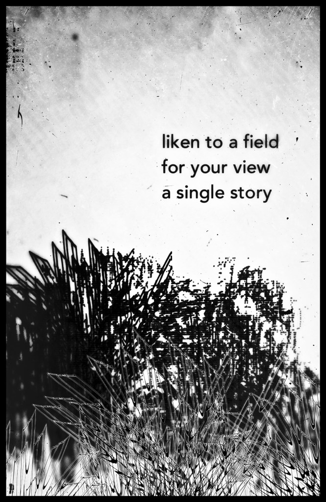 black and white image collage of bushes, weeds, asemic markings. 
liken to a field
for your view
a single story