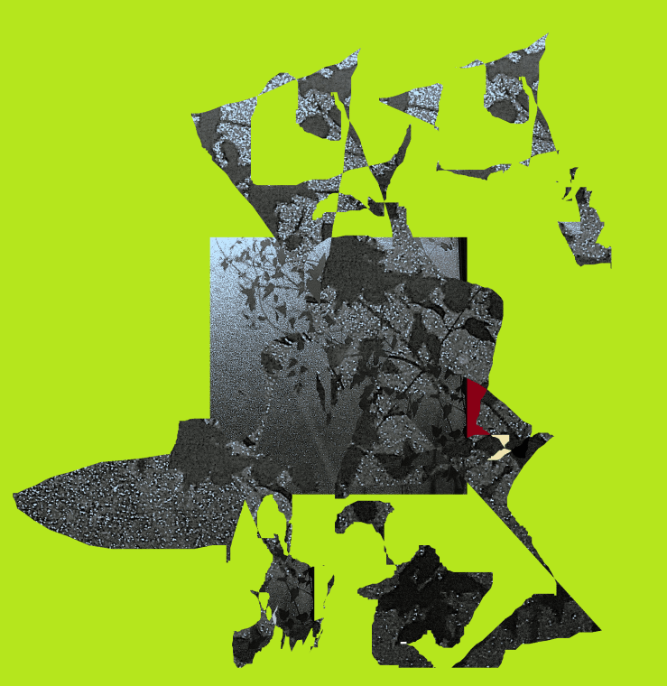 A pea green background, a shattered street full of water with tree shadows, grey, black & crimson.