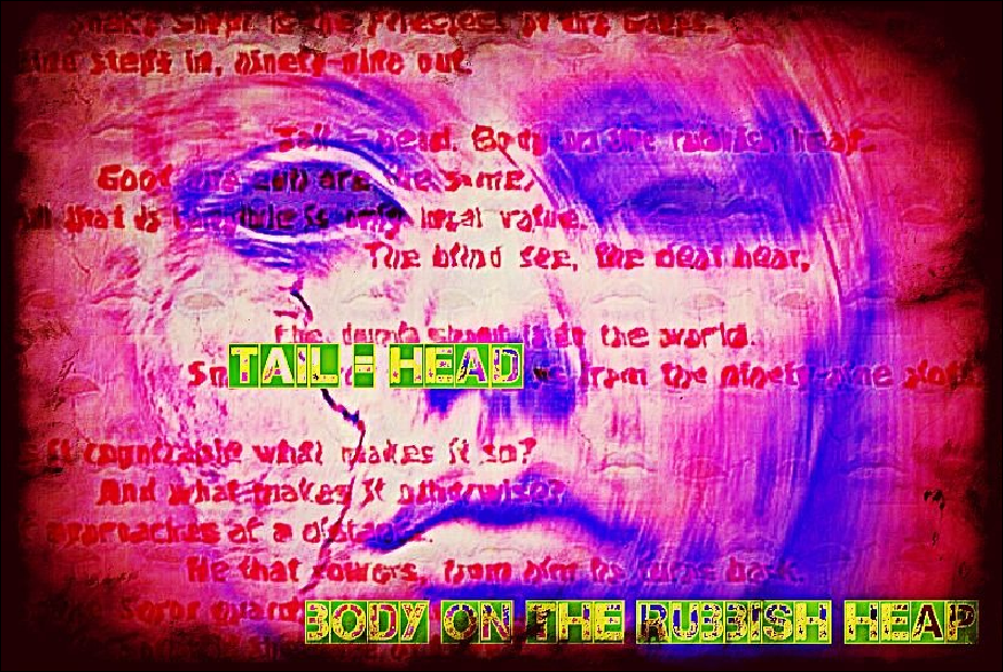 tail = head (visual poem) reds, purples, green-yellow bold block text and floaty red poem against a haunted androgynous face.