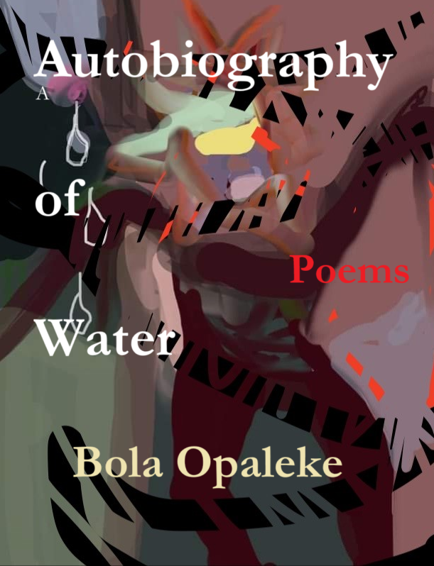 cover of the chapbook Autobiography of Water by Canadian artist Cathy Daley